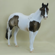 PEDUNCLE - OOAK Sooty Buckskin Paint with Mapping - 3/15