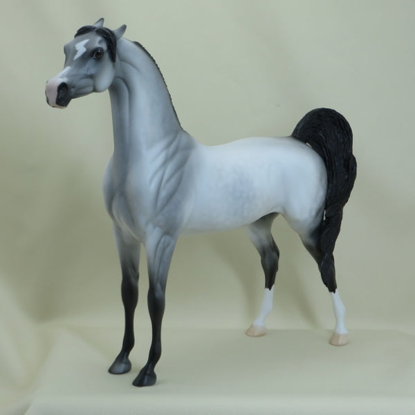 TAKE CHARGE - Dapple Gray Pinned Ear Arabian Model Horse with Black Points - LE2 - 3/15