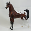 ULYSSES S GRANT - Dapple Bay Appaloosa Arabian LE 3 2/15