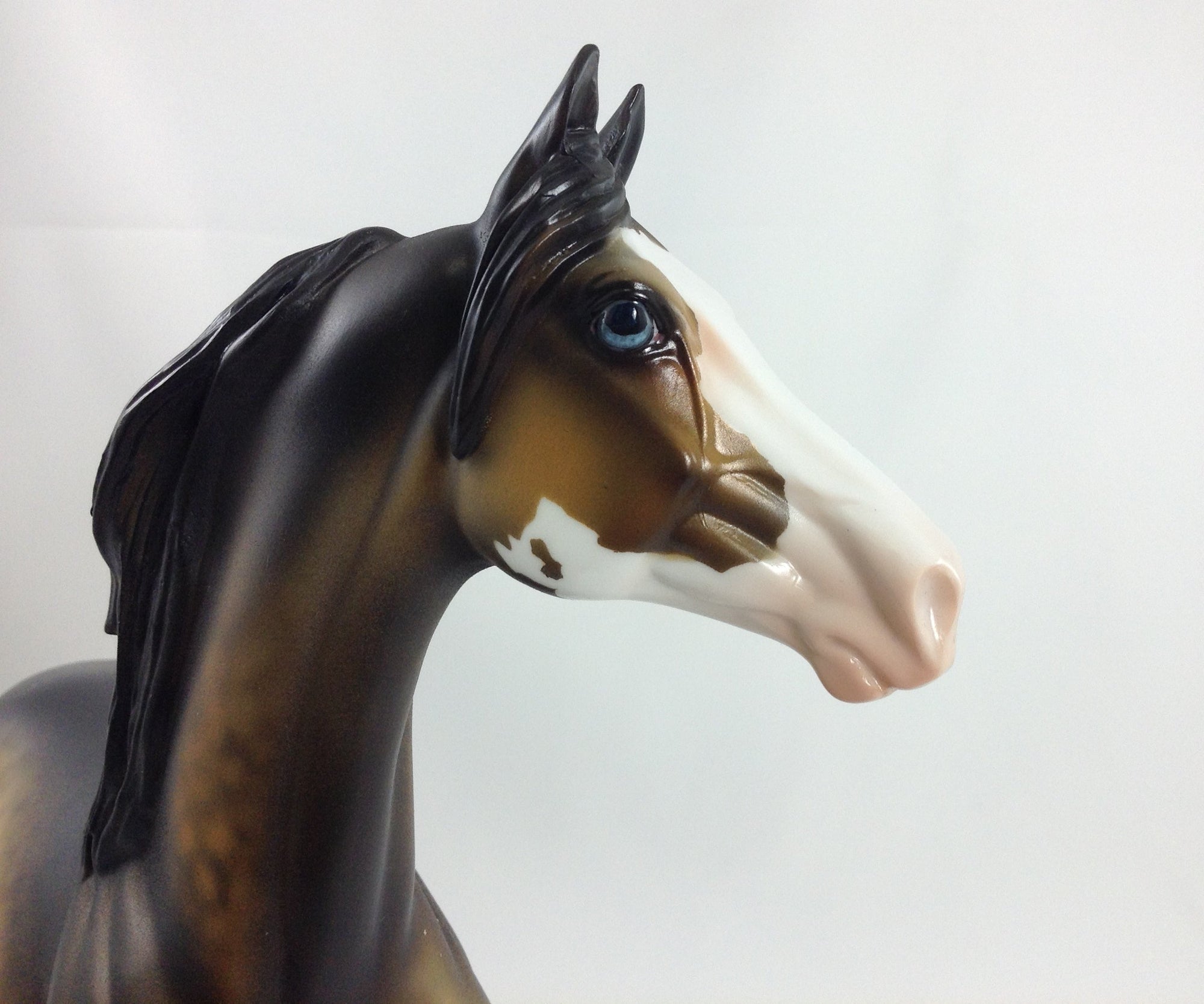 PUMPKIN KING - OOAK Sooty Buckskin Morgan