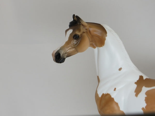 JOY OF A TOY - OOAK Buckskin Pinto Marwari Arabian 12/14