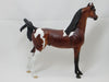 OMGOSH - OOAK Dapple Bay Pinto Marwari Arabian 2/15