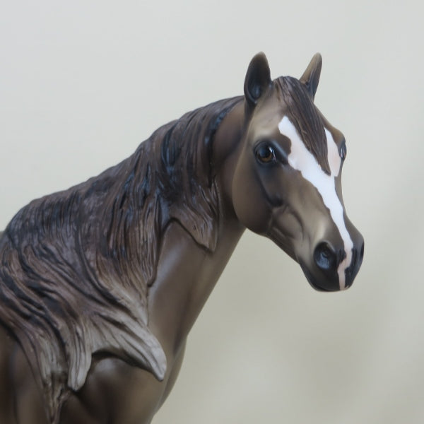 DUNE - OOAK Dapple Dark Champagne Stock Horse with Mapping - 4/15