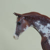 CASSIAN - OOAK Sorrel Sabino Pinto Arabian Pebbles 4/15