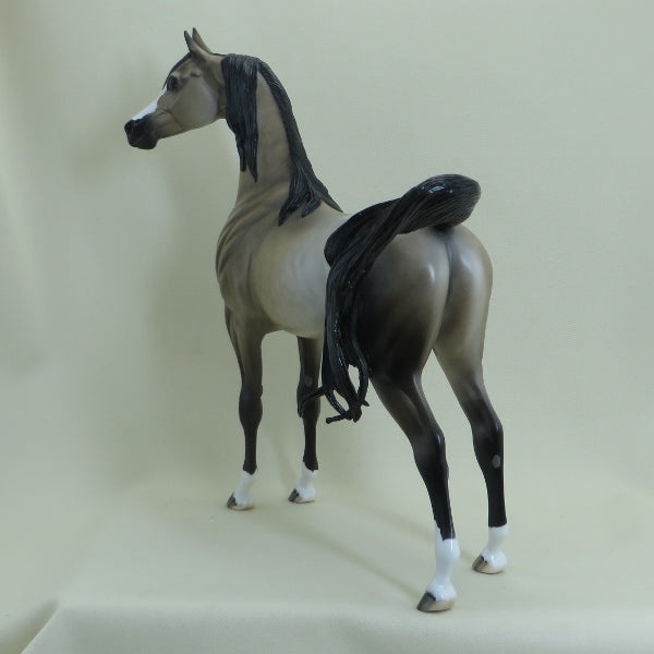 CHAPIN&#39; MANSION - Dapple Silver Buckskin Arabian LE3 4/15