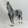 MAMA&#39;S BOX - OOAK Dapple Gray Morgan 5/15