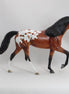 ACE OF HEARTS - OOAK Bay Appaloosa Tennessee Walker Model Horse - 5/15