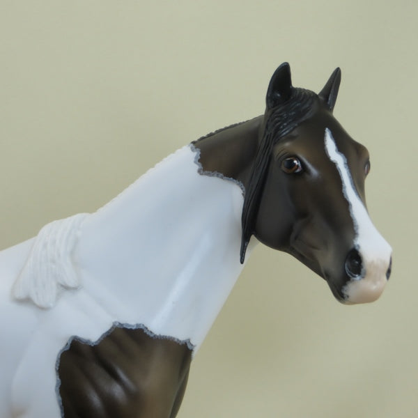 PEDUNCLE - OOAK Sooty Buckskin Paint with Mapping - 3/15