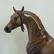 BRAINSTORM - OOAK Dapple Chestnut Arabian GLOSS 3/15