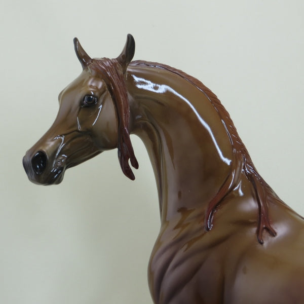 BRAINSTORM - OOAK Dapple Chestnut Arabian GLOSS 3/15