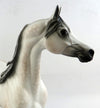 arabian