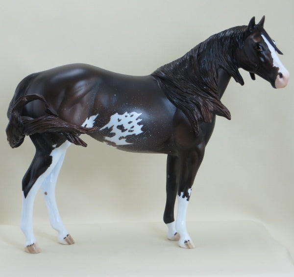 LIZBURN - Brown Sabino Stock Horse Paint LE5 3/15