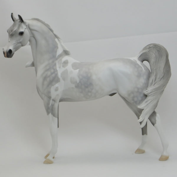 ROOSEVELT - OOAK Light Dapple Gray Pinto Arabian 2/15