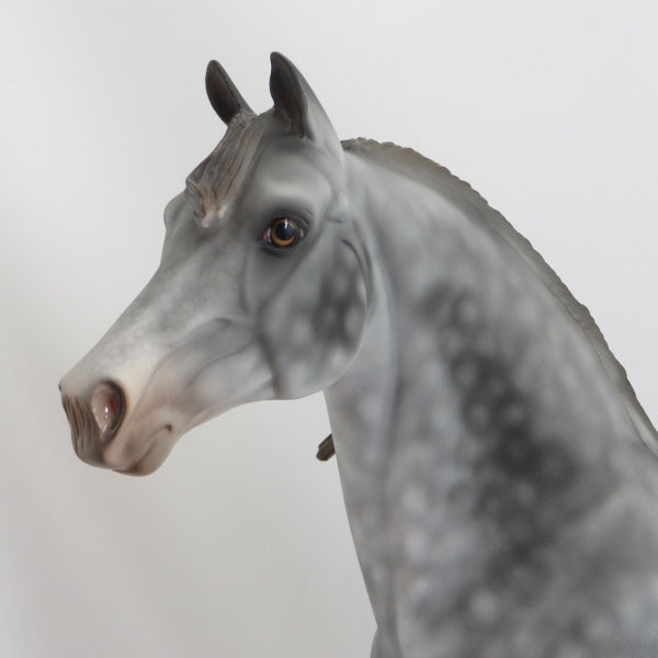 MAMA&#39;S BOX - OOAK Dapple Gray Morgan 5/15