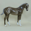 DELL - OOAK Chocolate Palomino Pinned Ear Weanling - 4/15