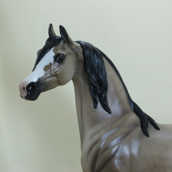 CHAPIN&#39; MANSION - Dapple Silver Buckskin Arabian LE3 4/15