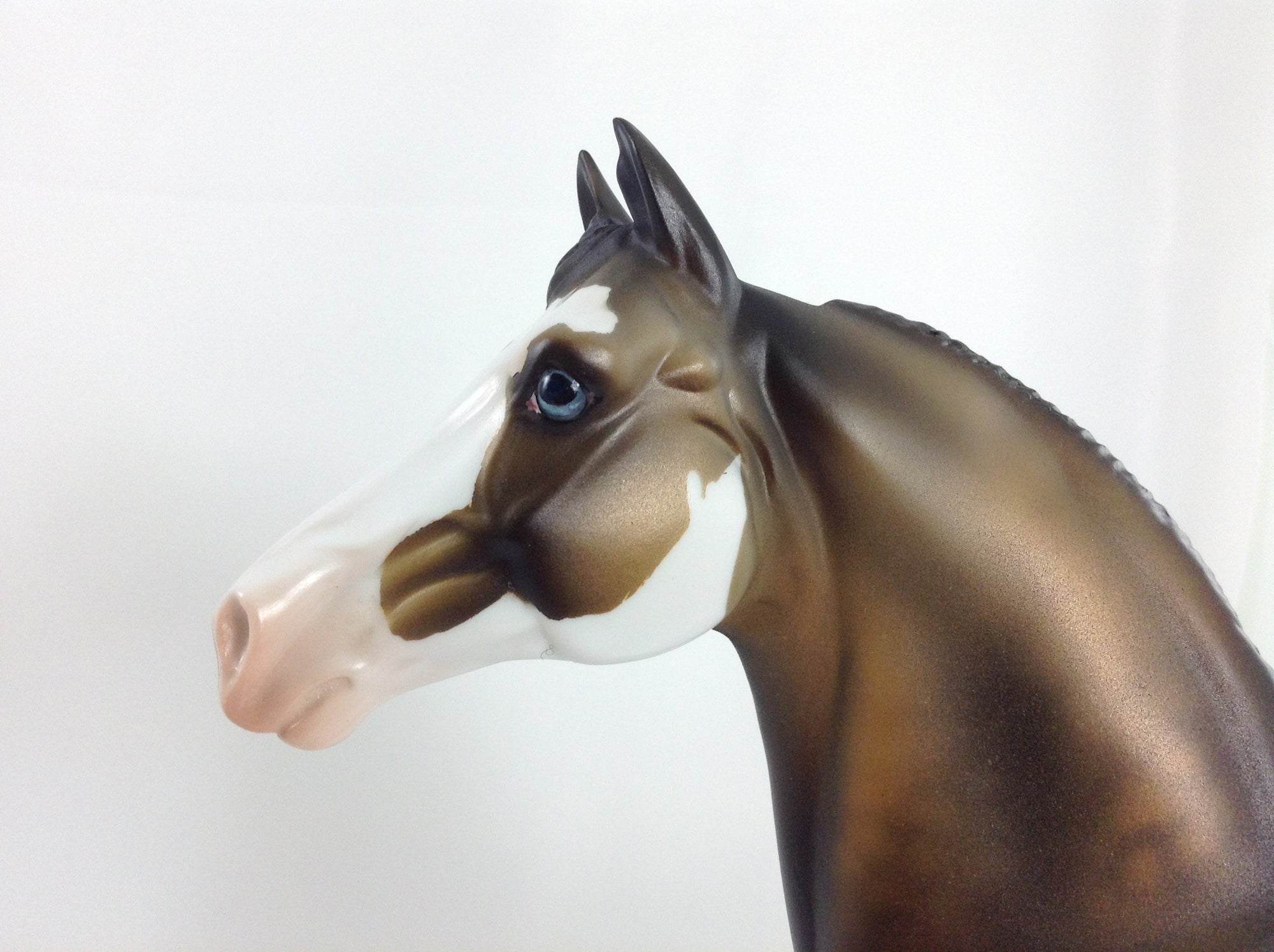 PUMPKIN KING - OOAK Sooty Buckskin Morgan