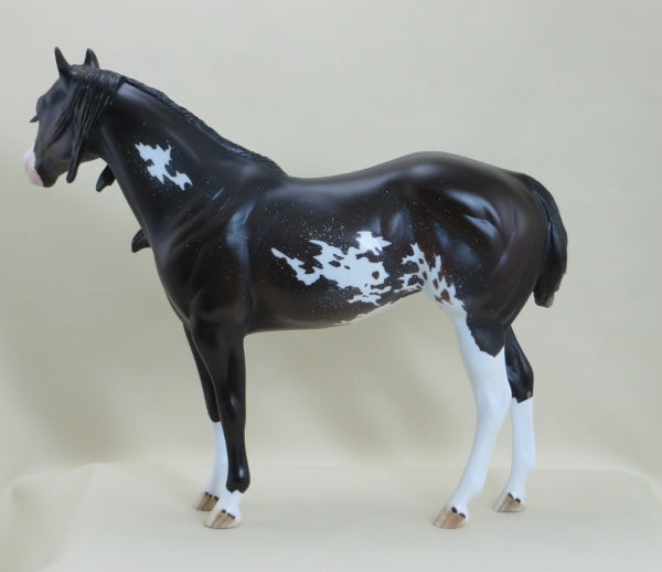 LIZBURN - Brown Sabino Stock Horse Paint LE5 3/15