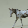 COUNTESS CHOCULA - OOAK Spotted Chestnut Mule Chip 4/15