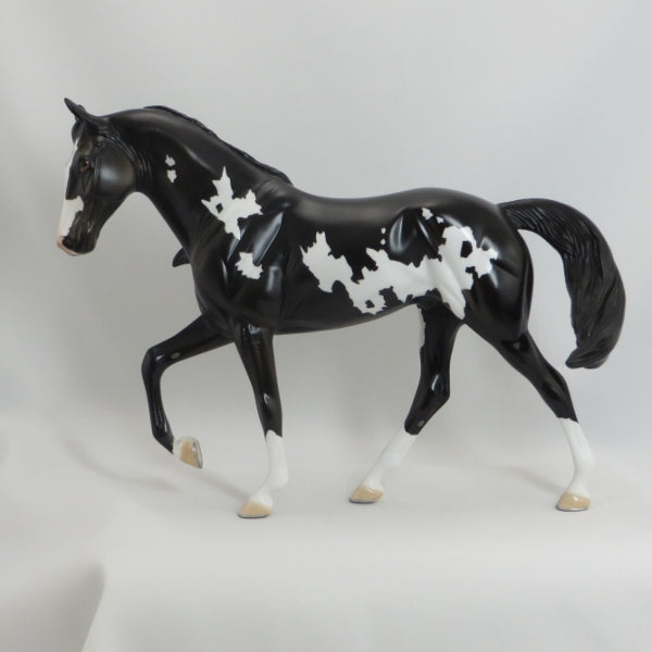 MAMA SAID KNOCK YOU OUT - OOAK Black Pinto Tennessee Walker - 5/15