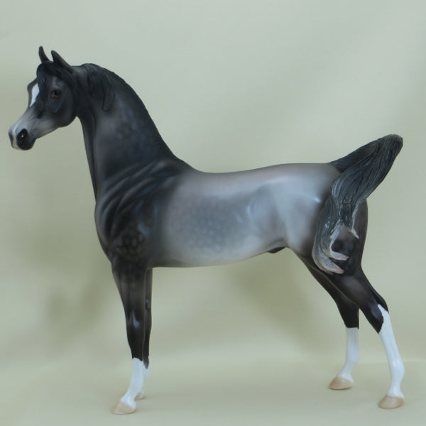 GALLAGHER - OOAK Dapple Gray Arabian 3/15