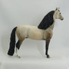 HONEYVILLE - OOAK Dapple Buckskin Long Mane Morgan 4/15