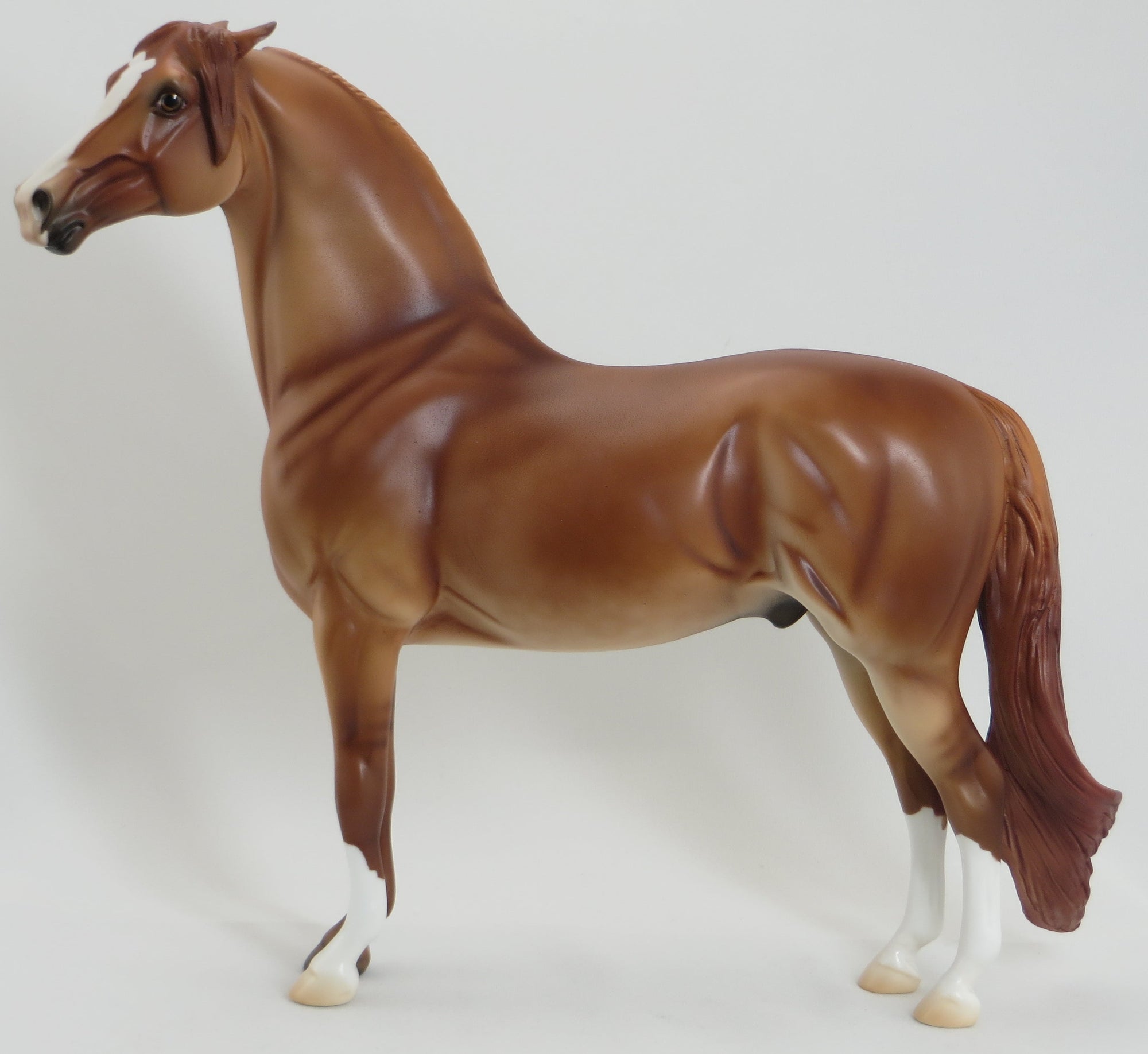 LARGO - OOAK Pinned Ear Red Dun Morgan Model Horse - 5/15
