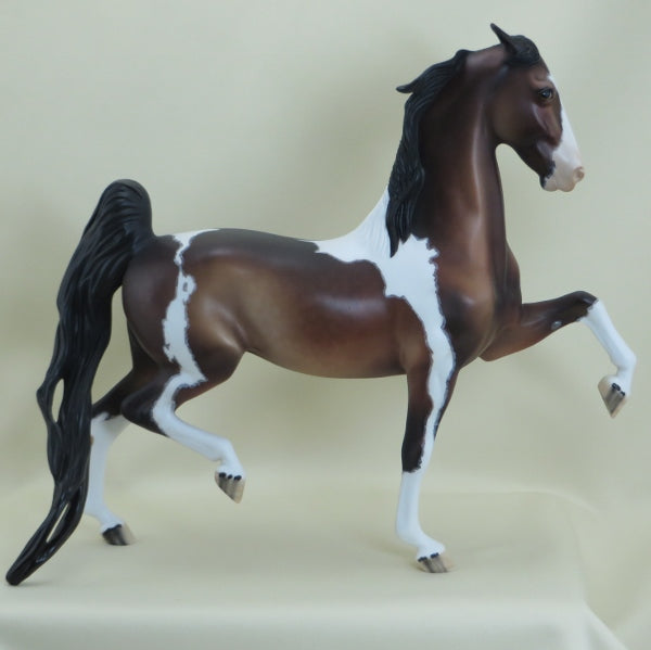 DELANEY - OOAK Dapple Bay Pinned Ear Pinto Saddlebred w/ Mapping 3/15