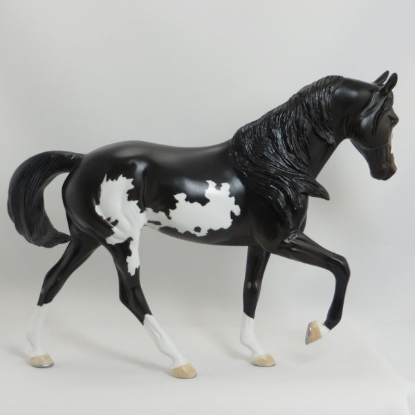 MAMA SAID KNOCK YOU OUT - OOAK Black Pinto Tennessee Walker - 5/15