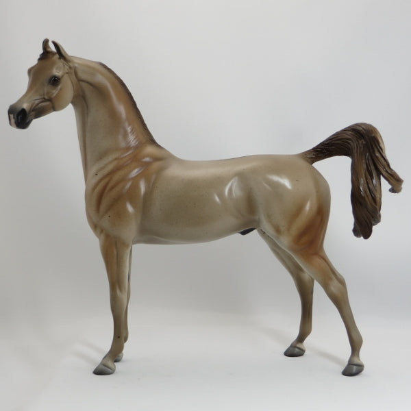 CANTRELL - OOAK Brown Roan Marwari Arabian Model Horse - 5/15