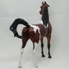 OMGOSH - OOAK Dapple Bay Pinto Marwari Arabian 2/15