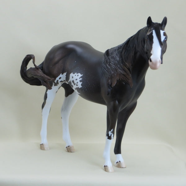 LIZBURN - Brown Sabino Stock Horse Paint LE5 3/15
