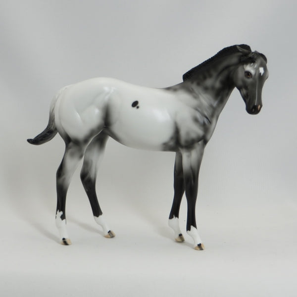 RALEIGH DA' LING - OOAK Appaloosa Pinned Ear Weanling 5/15