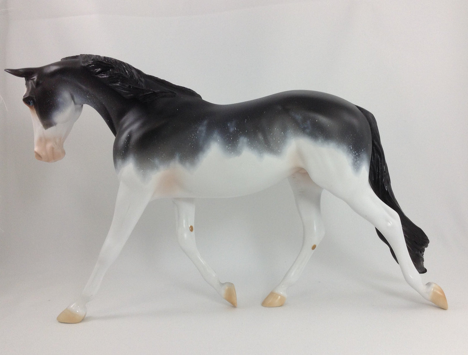 CRUELLA - OOAK Custom Paloose with Tucked & Lowered Head