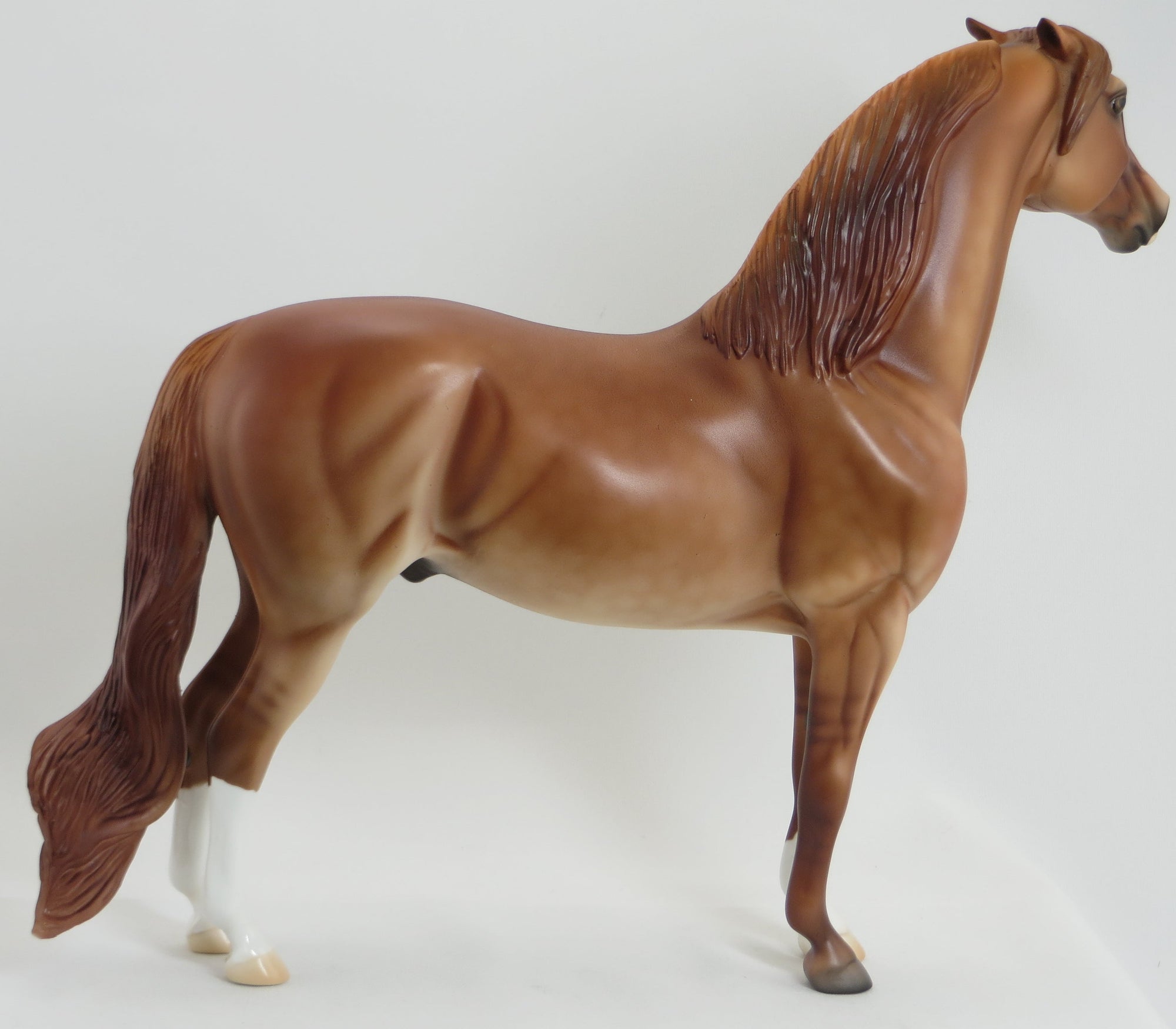 LARGO - OOAK Pinned Ear Red Dun Morgan Model Horse - 5/15