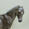 DELL - OOAK Chocolate Palomino Pinned Ear Weanling - 4/15