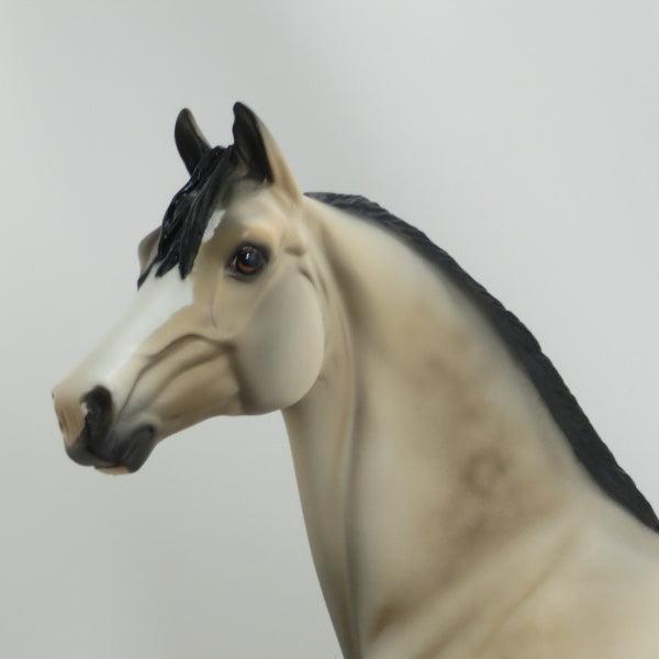 HONEYVILLE - OOAK Dapple Buckskin Long Mane Morgan 4/15