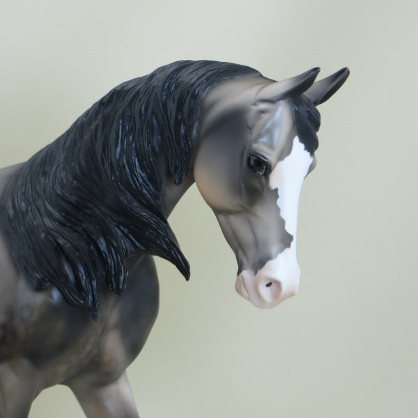 MACELWEE - OOAK Sooty Buckskin Thoroughbred 3/15