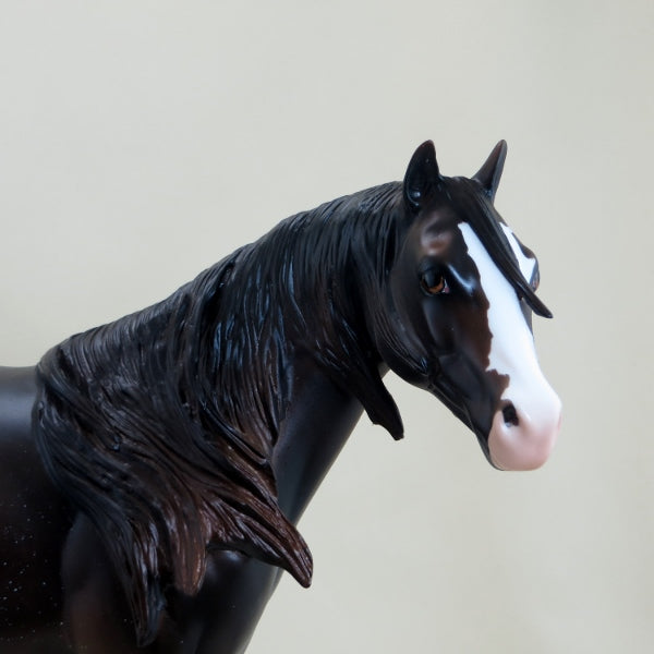 LIZBURN - Brown Sabino Stock Horse Paint LE5 3/15