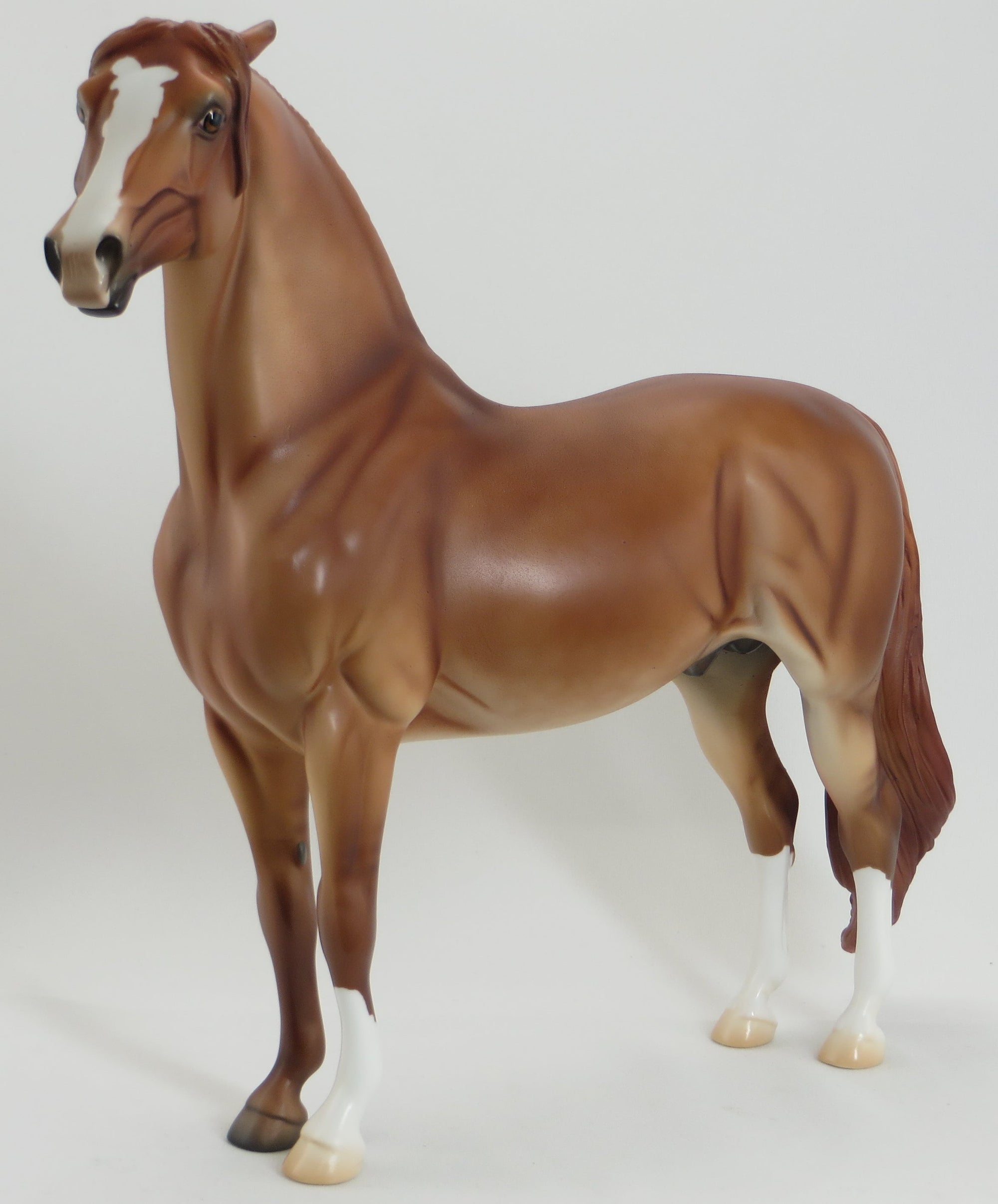 LARGO - OOAK Pinned Ear Red Dun Morgan Model Horse - 5/15