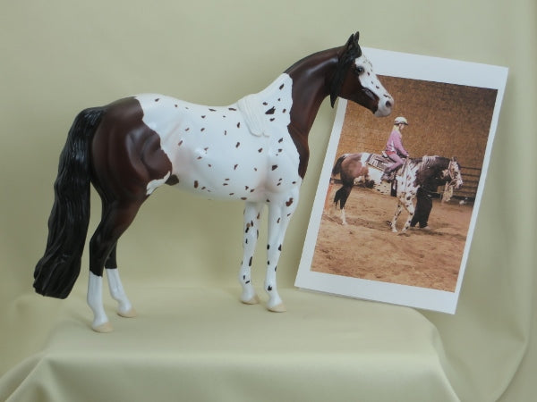 SLICKER - OOAK Bay Appaloosa Stock Horse 3/15