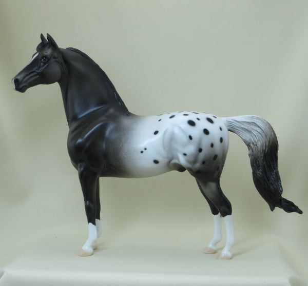 MANITOWOC - OOAK Appaloosa Morgan Model Horse with Blowing Mane - 4/15
