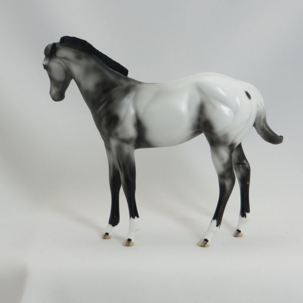 RALEIGH DA&#39; LING - OOAK Appaloosa Pinned Ear Weanling 5/15