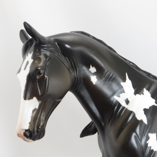 MAMA SAID KNOCK YOU OUT - OOAK Black Pinto Tennessee Walker - 5/15