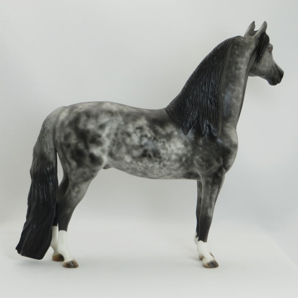 COTTONWOOD - OOAK Black Deco Long Mane Morgan 5/15