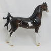 PARVANEH - OOAK  Dark Bay Arabian Pinto 2/15