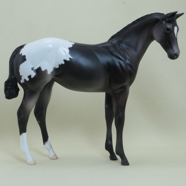 VANISHED PLANET - Black Appaloosa Weanling LE4
