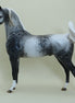 ALGONA - OOAK Appaloosa Arabian 4/15