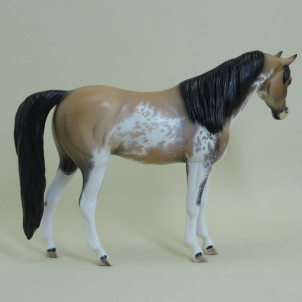 FONTANA - OOAK Buckskin Sabino Pinto Arabian Pebbles 4/15