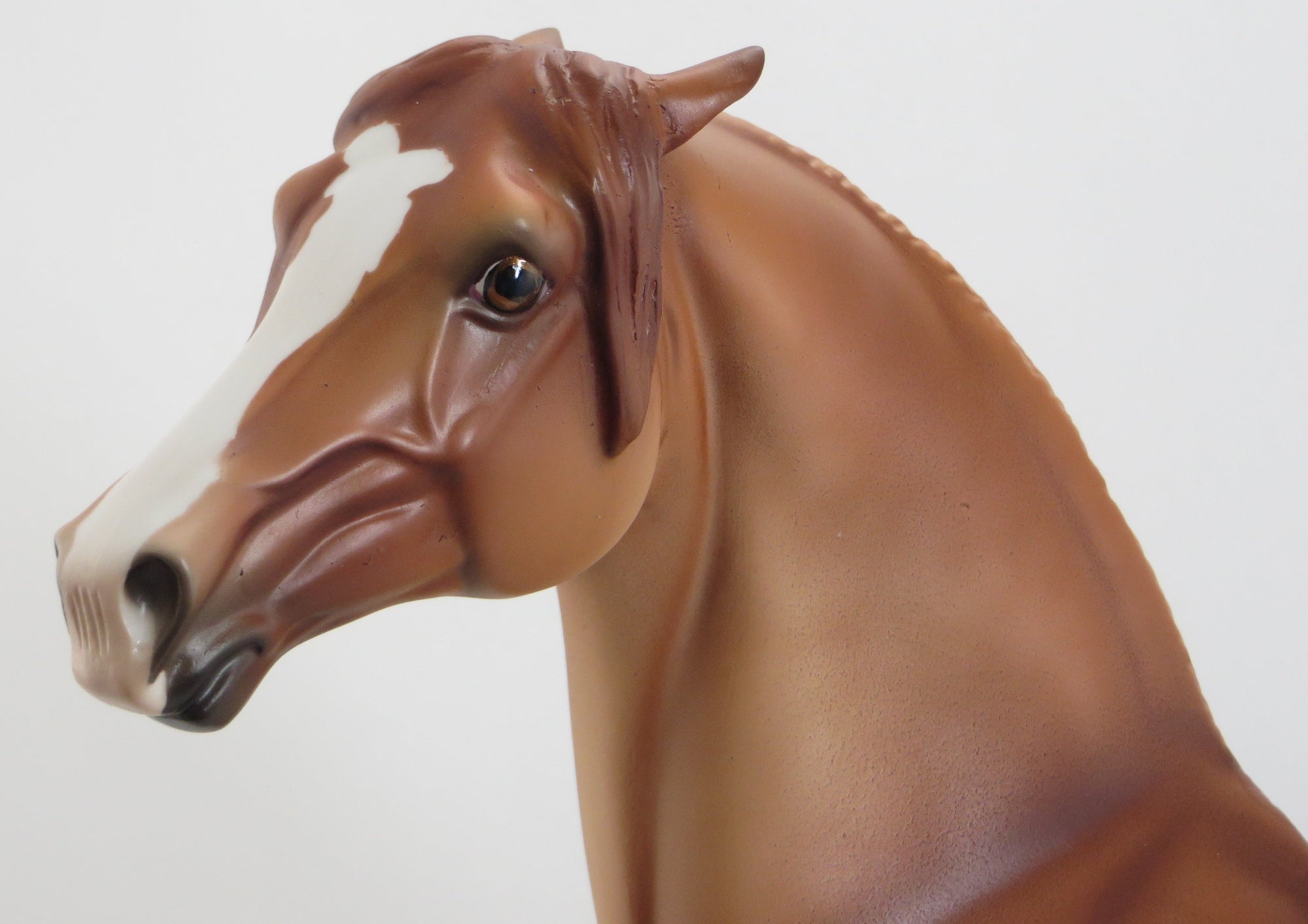 LARGO - OOAK Pinned Ear Red Dun Morgan Model Horse - 5/15